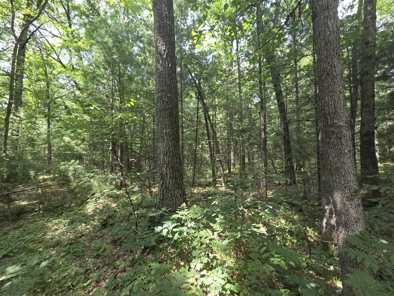 main property photo 43