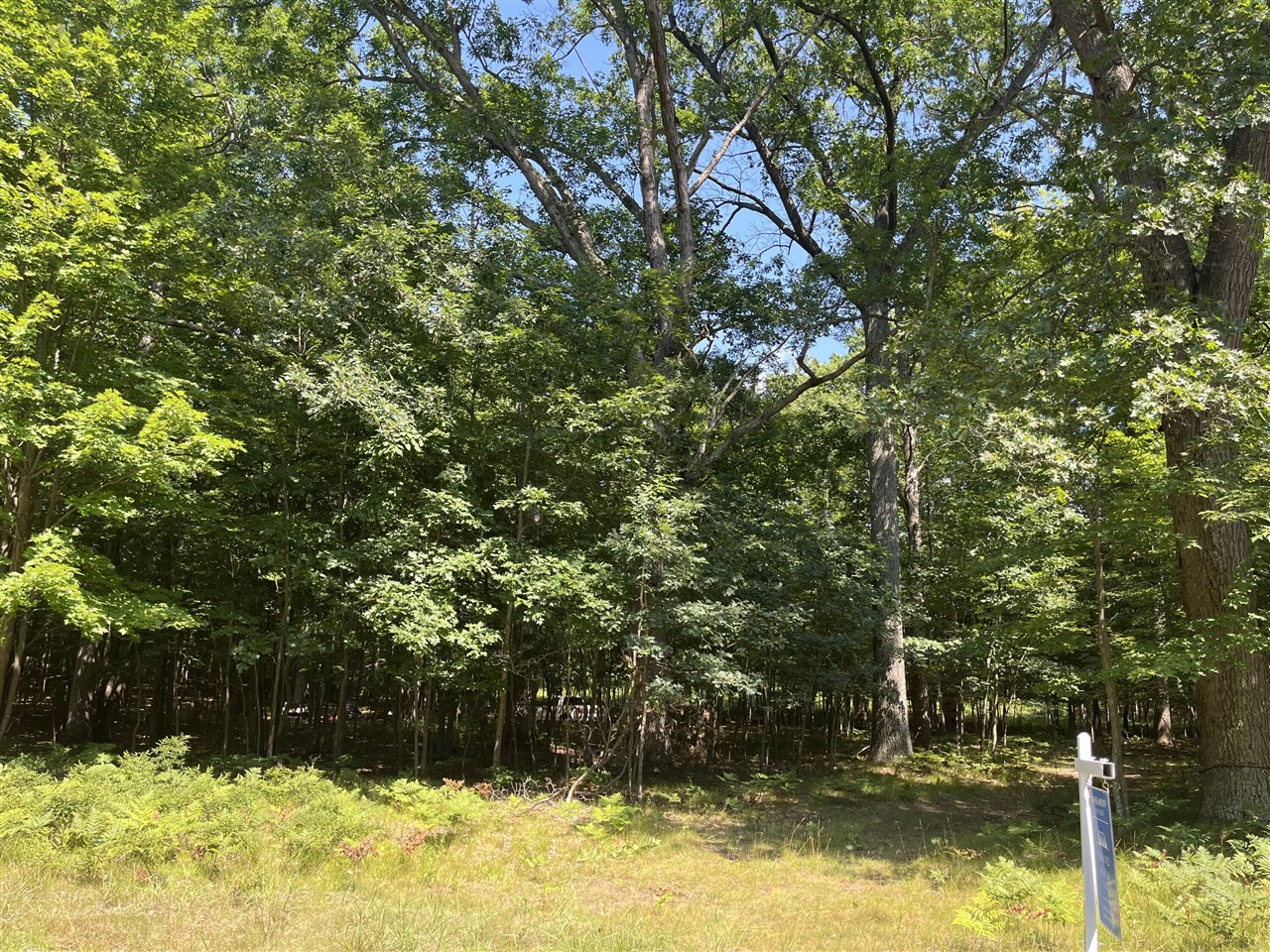 property viewer photo 2