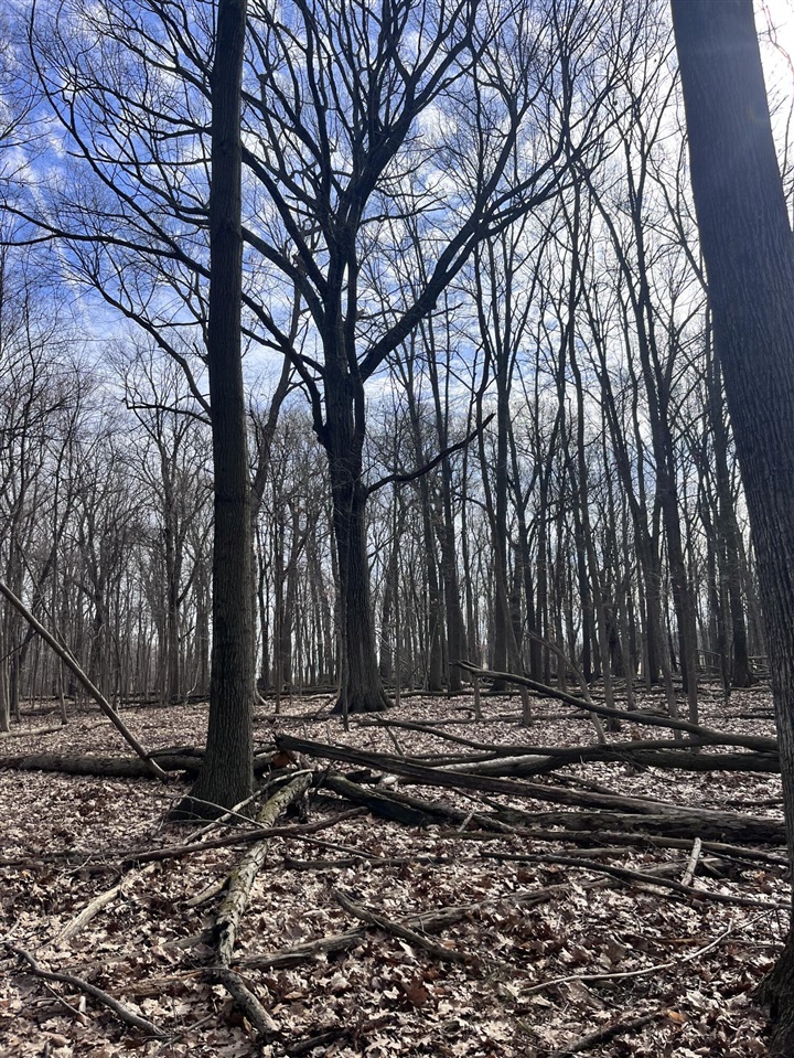 main property photo 25