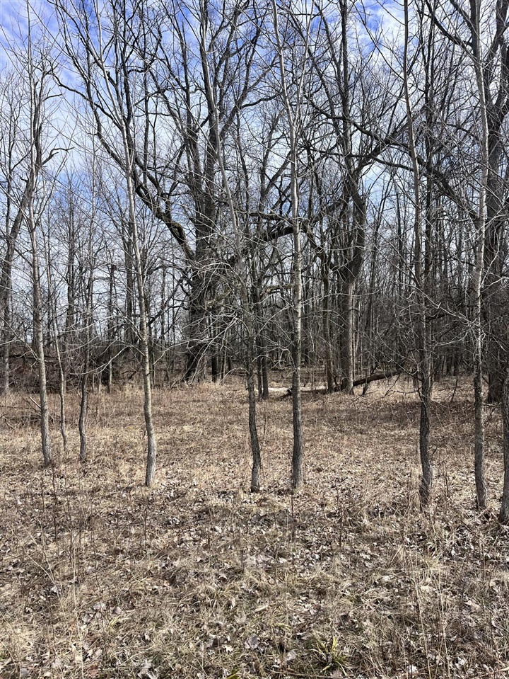 main property photo 29