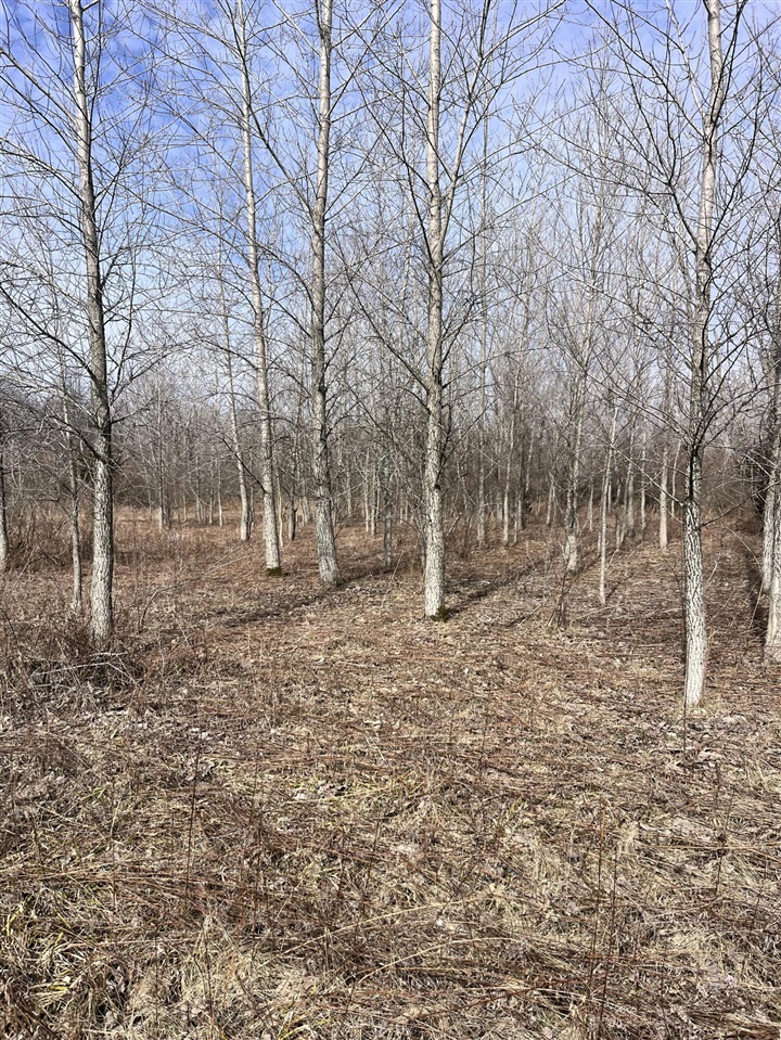main property photo 30