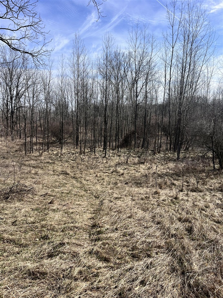main property photo 7
