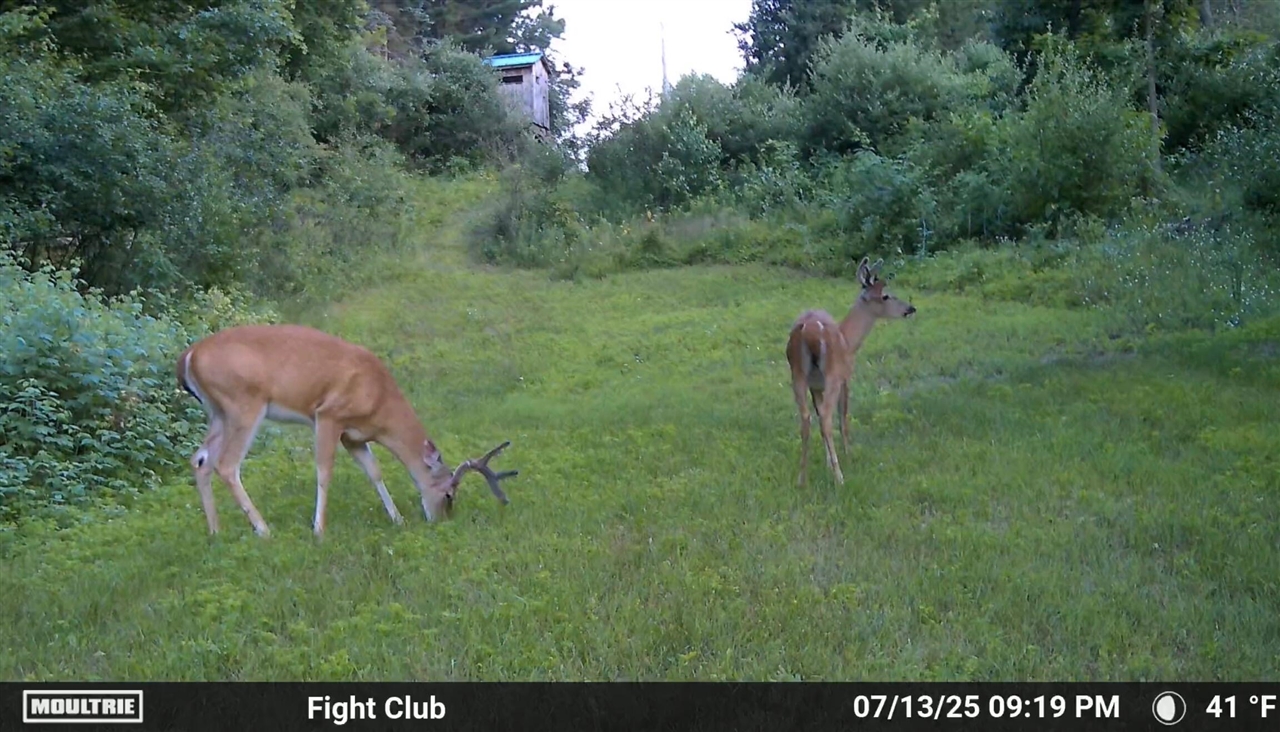 main property photo 58