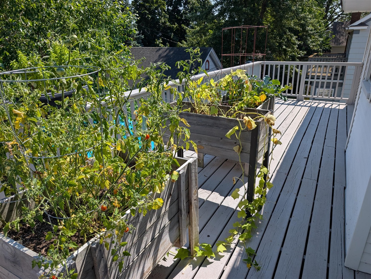 main property photo 59