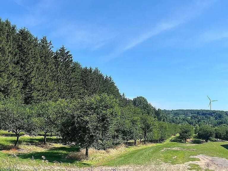 main property photo 26