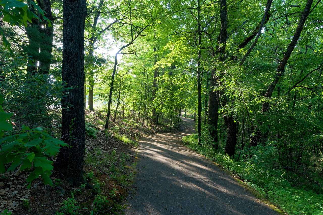 main property photo 45