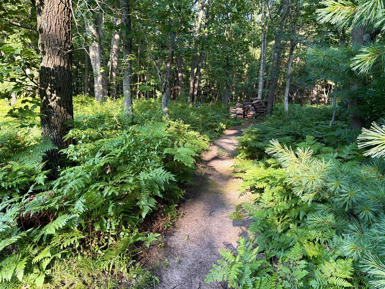 main property photo 67
