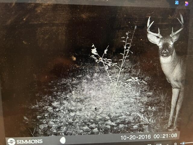 main property photo 18