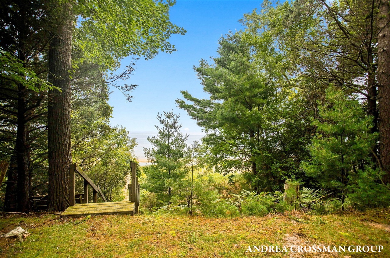 main property photo 49