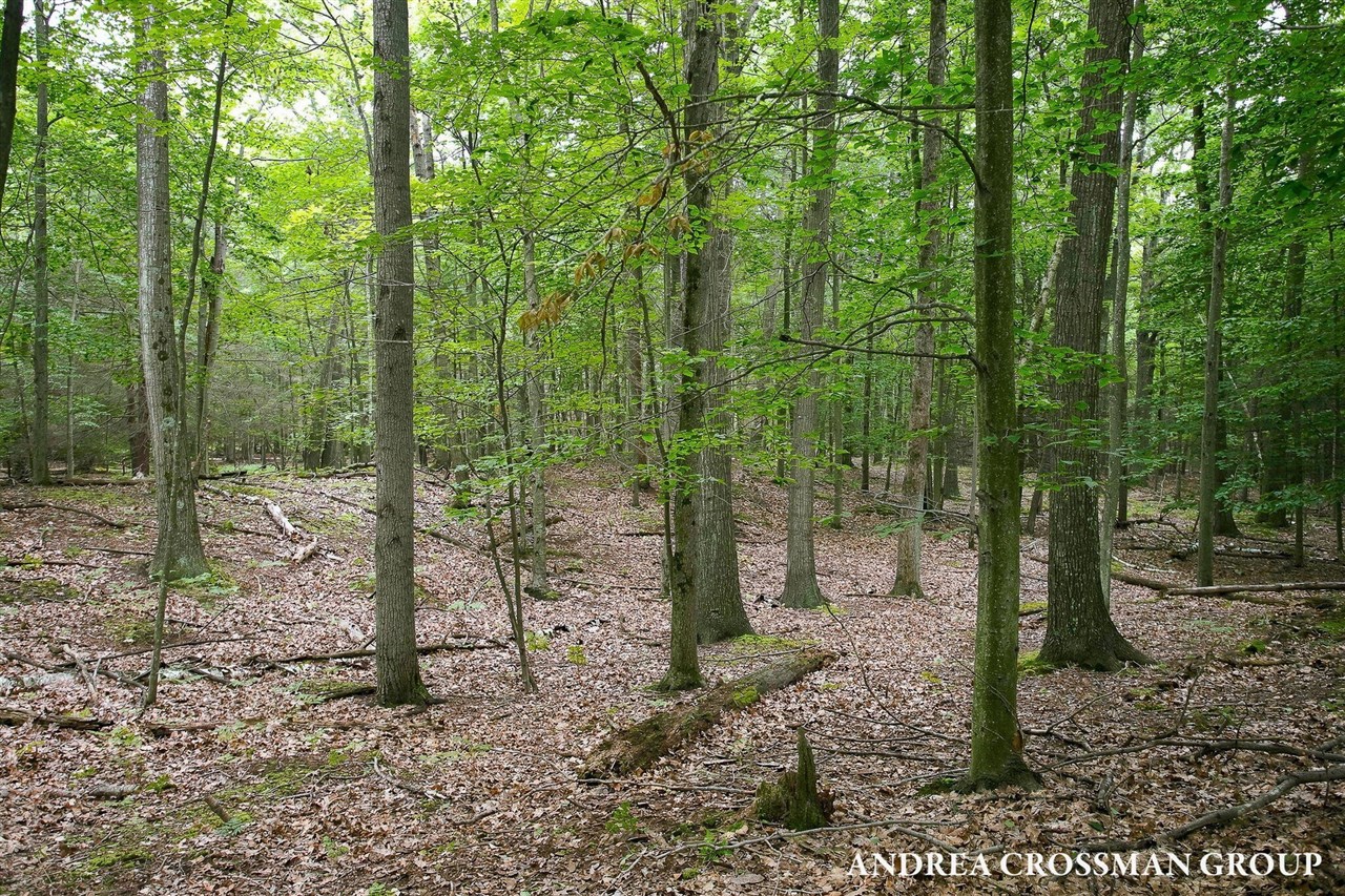 main property photo 69