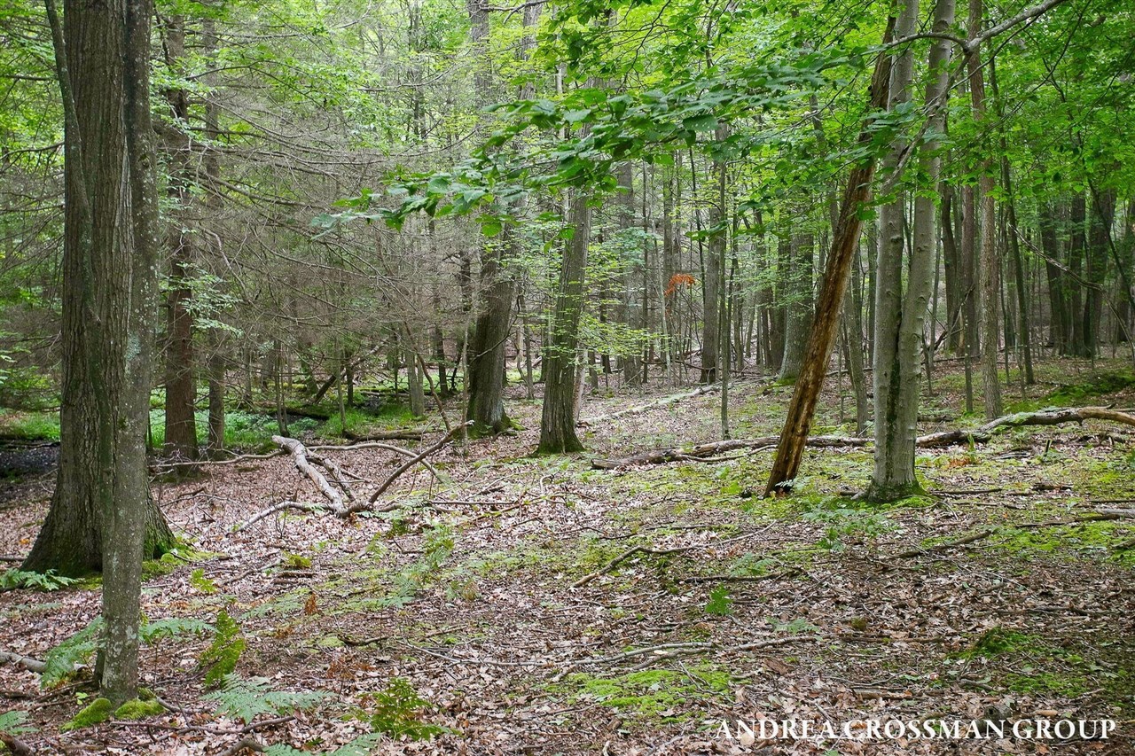 main property photo 70