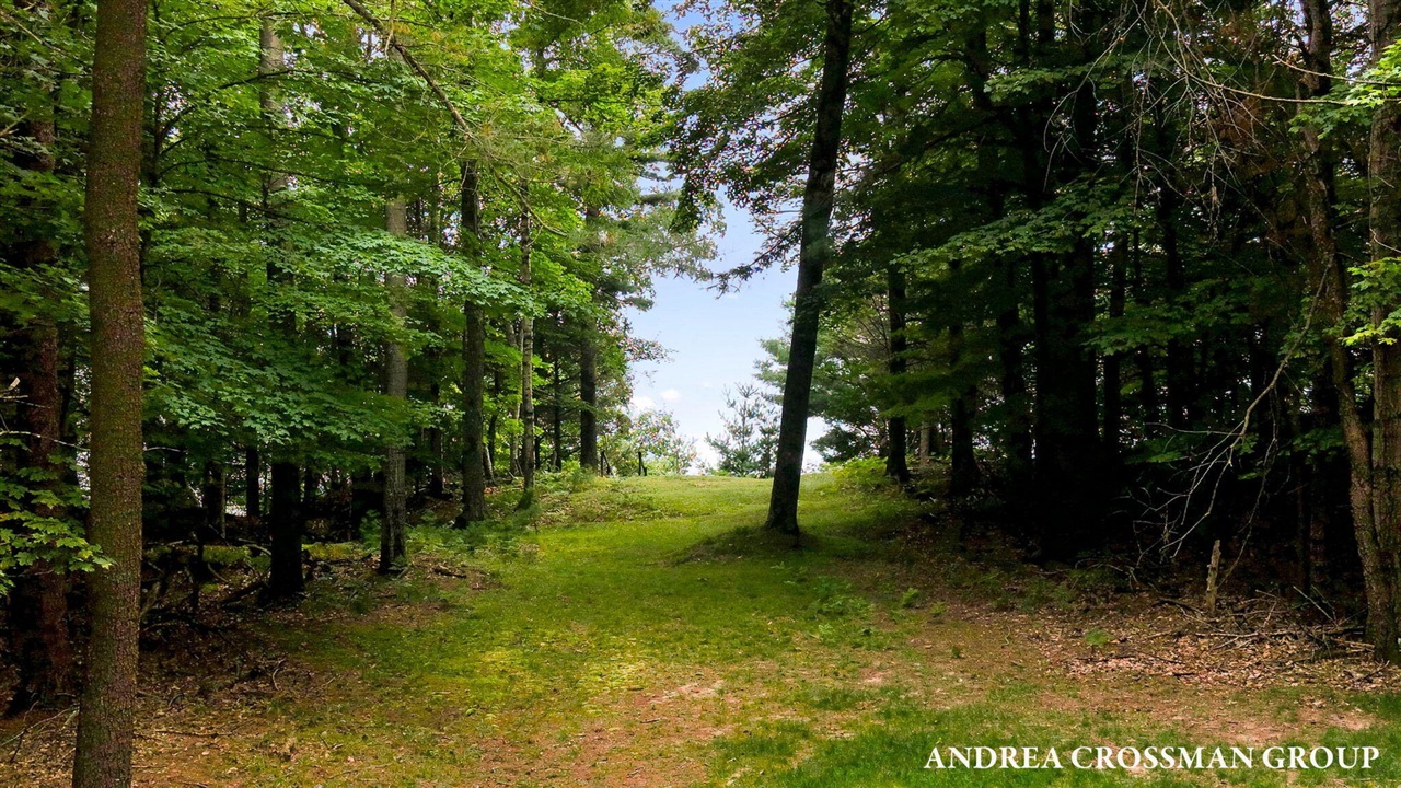 main property photo 81