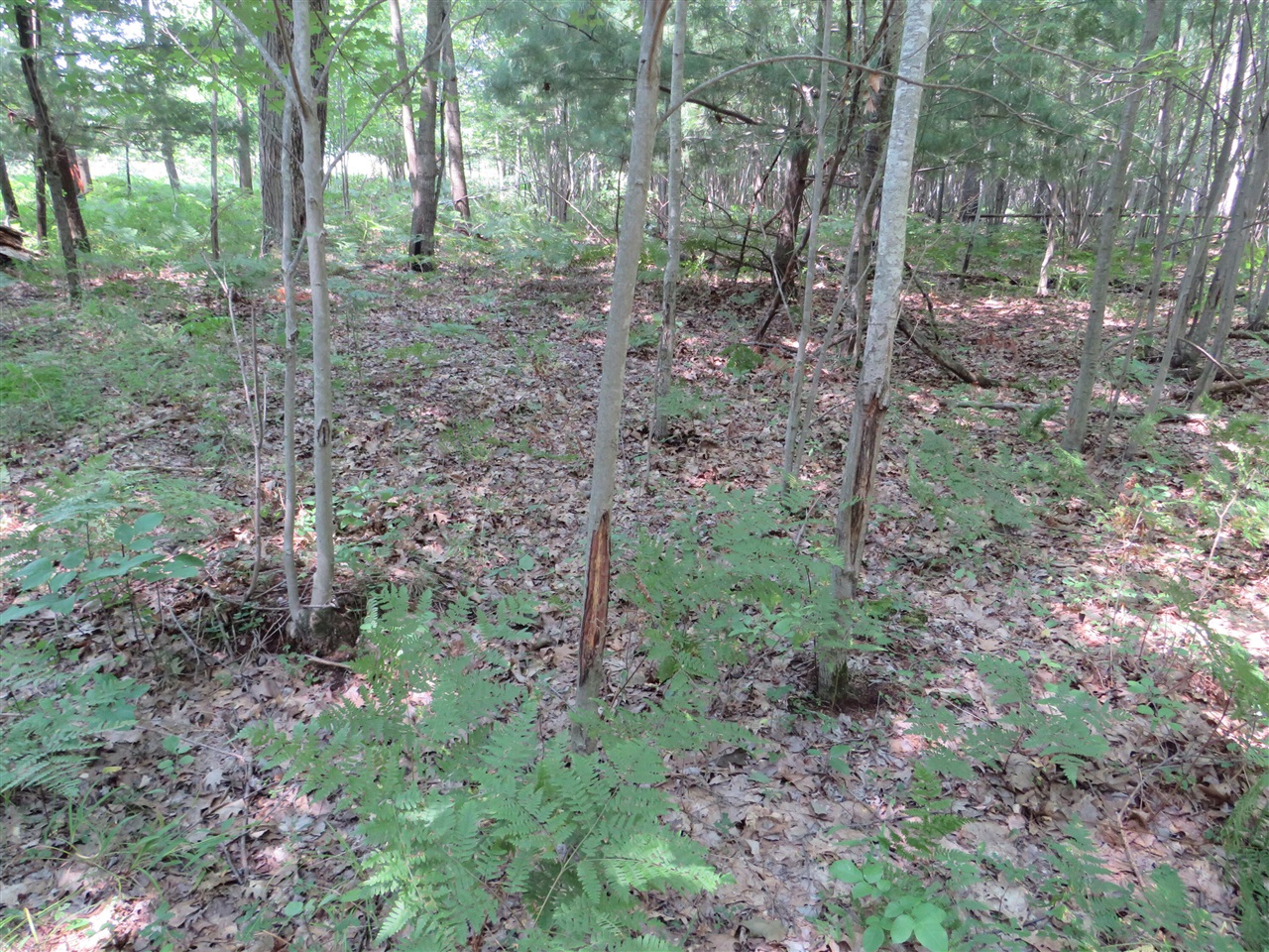 main property photo 31