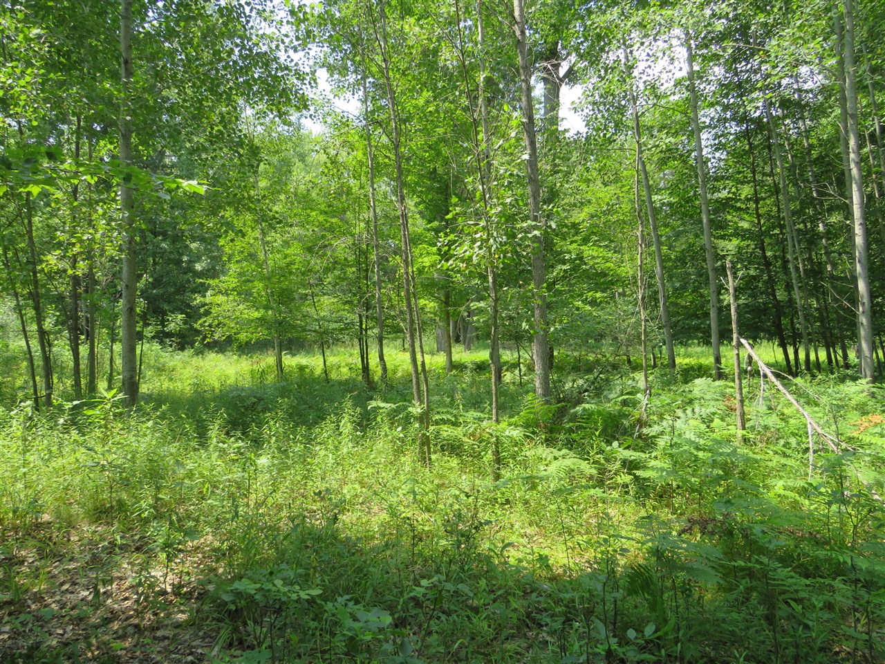 main property photo 41