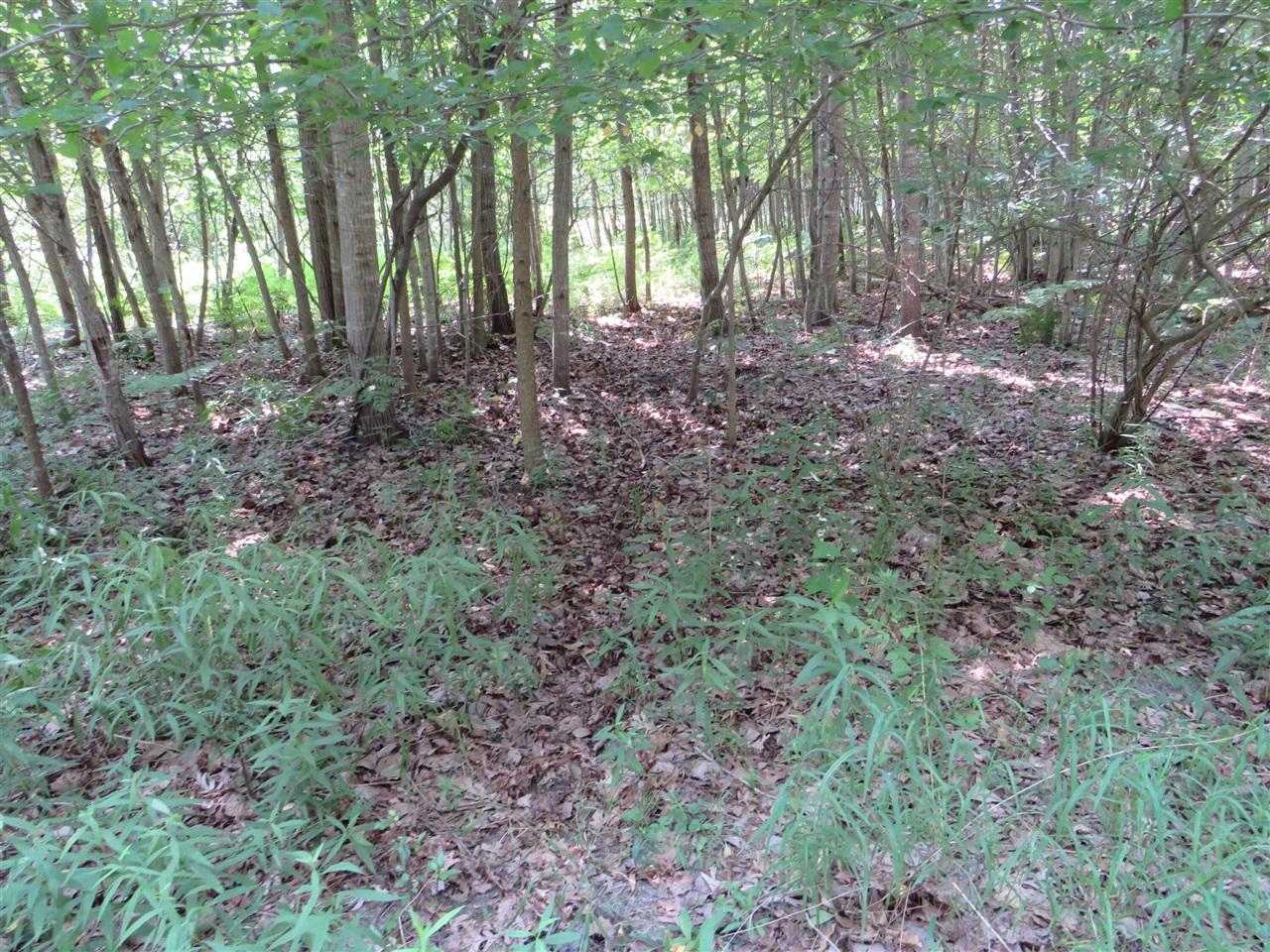 main property photo 49