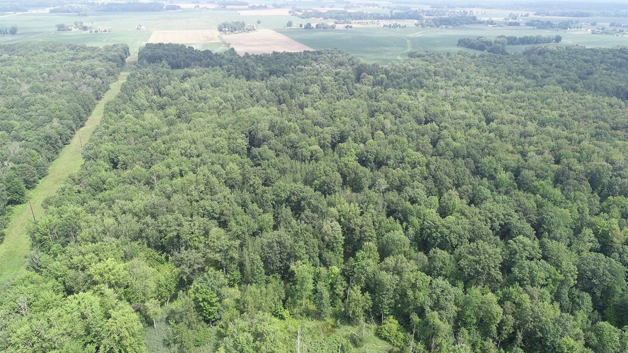 main property photo 64