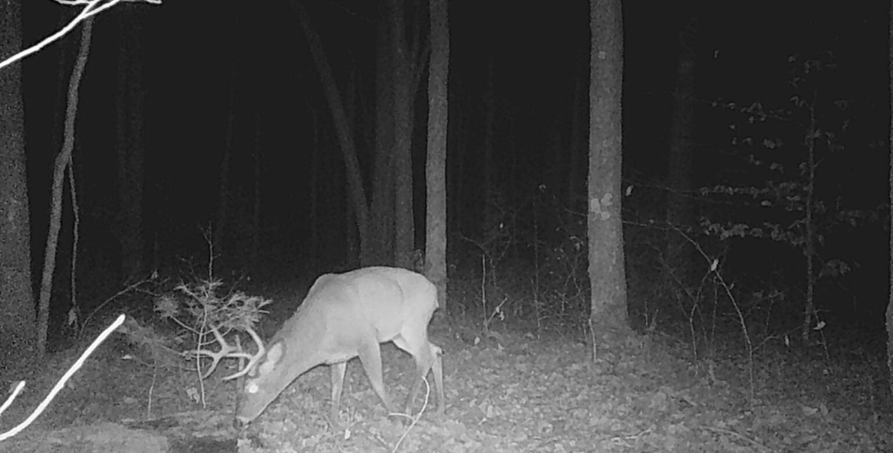 main property photo 56
