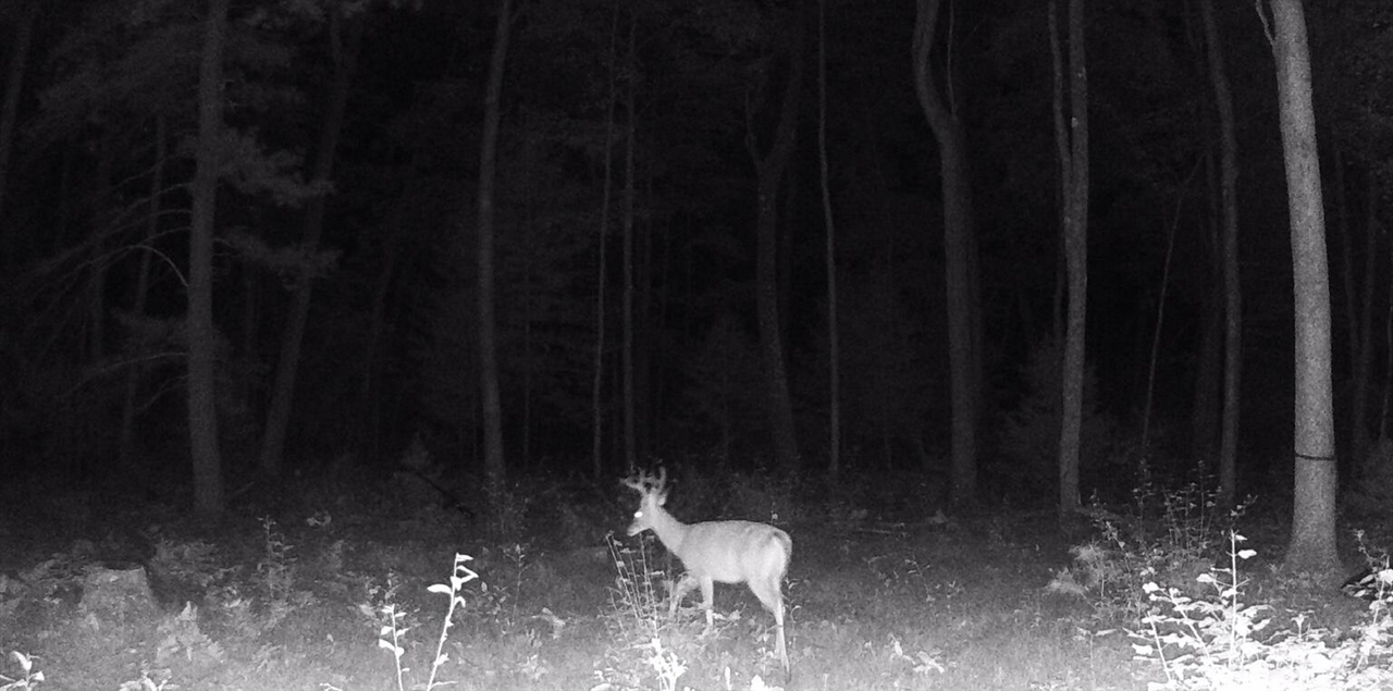main property photo 69
