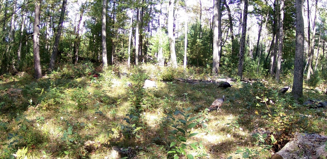main property photo 71