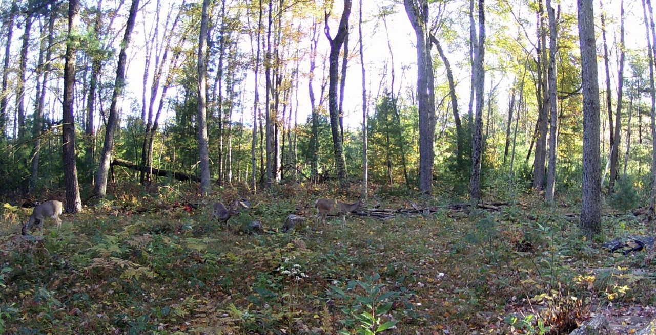 main property photo 72