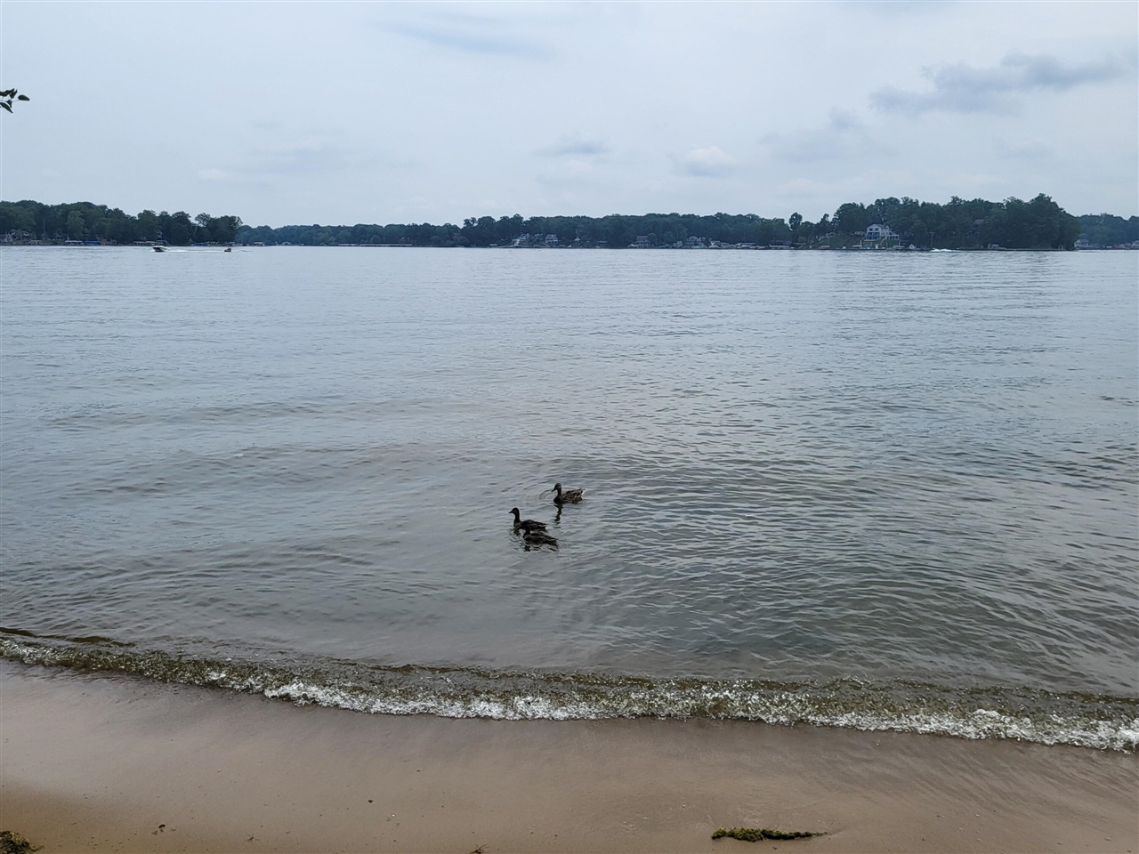 main property photo 26