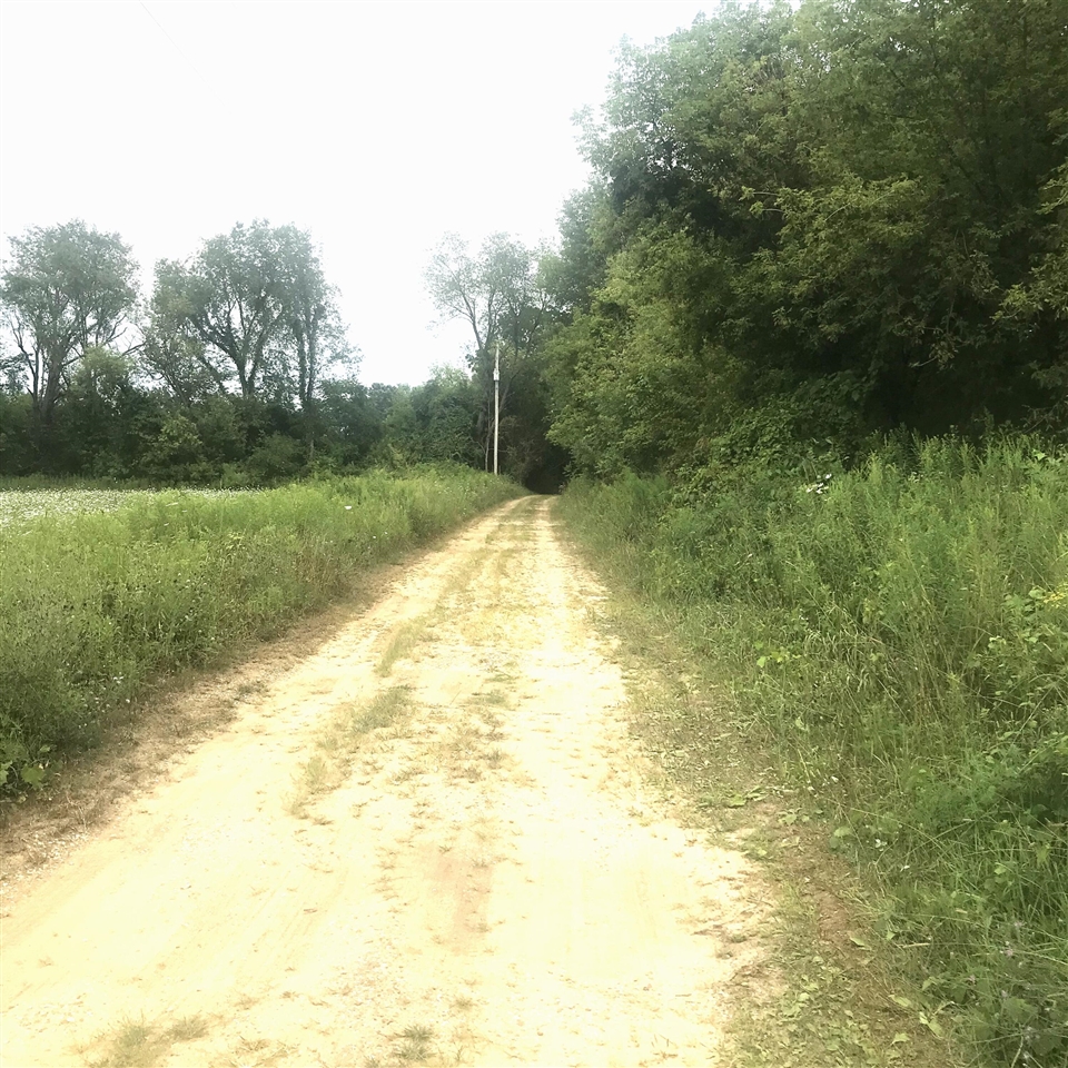 main property photo 6
