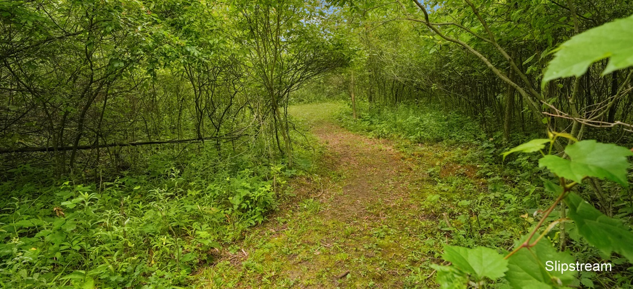 main property photo 32