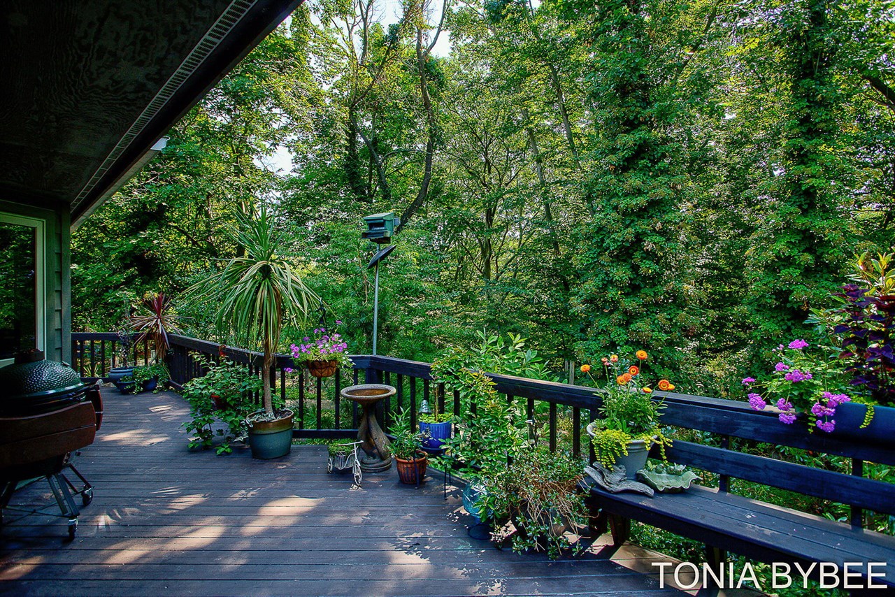 main property photo 65