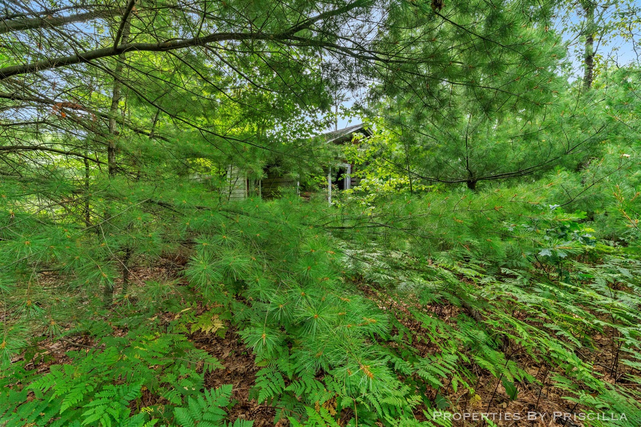 main property photo 47