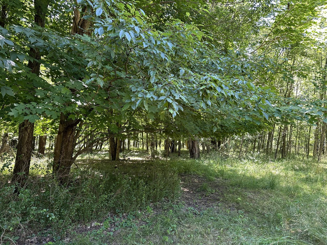main property photo 8