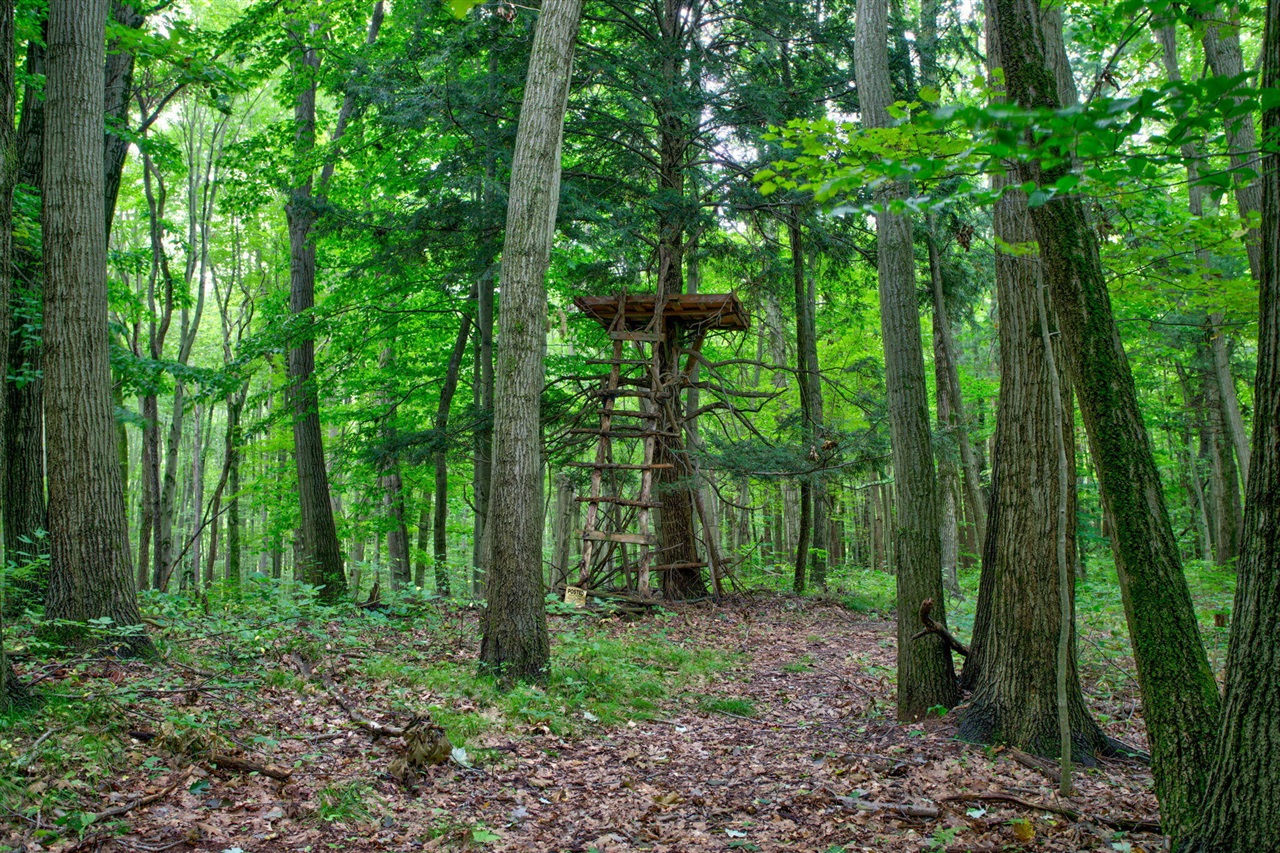 main property photo 53