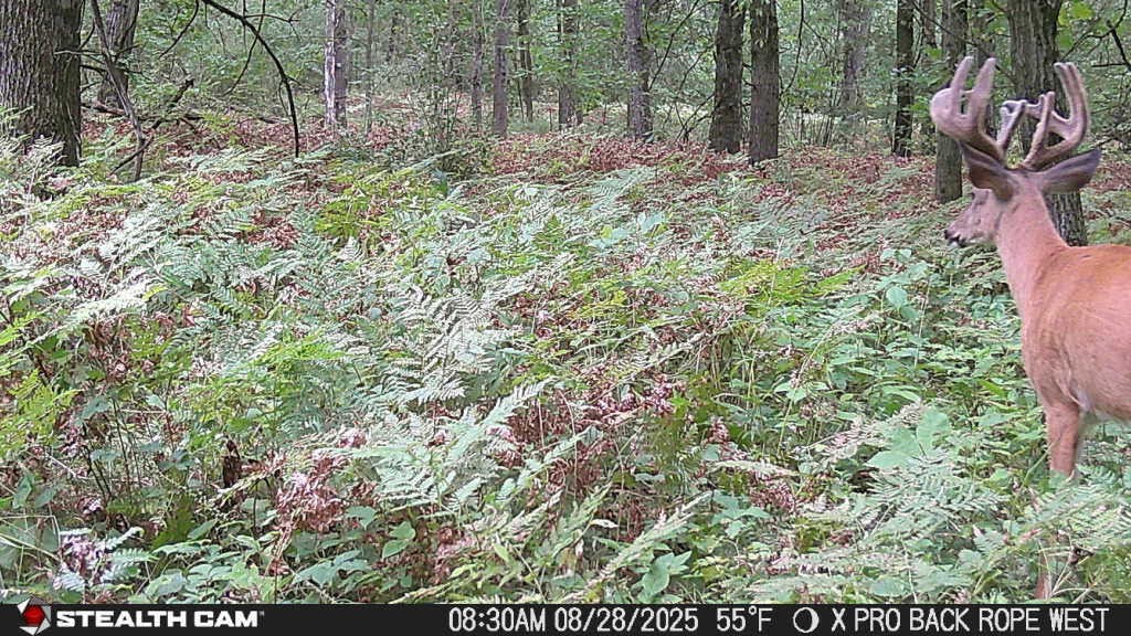 main property photo 21