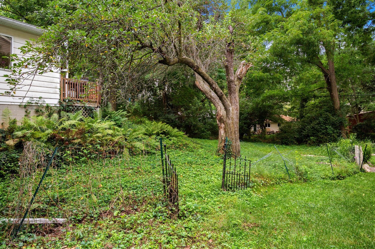 main property photo 48