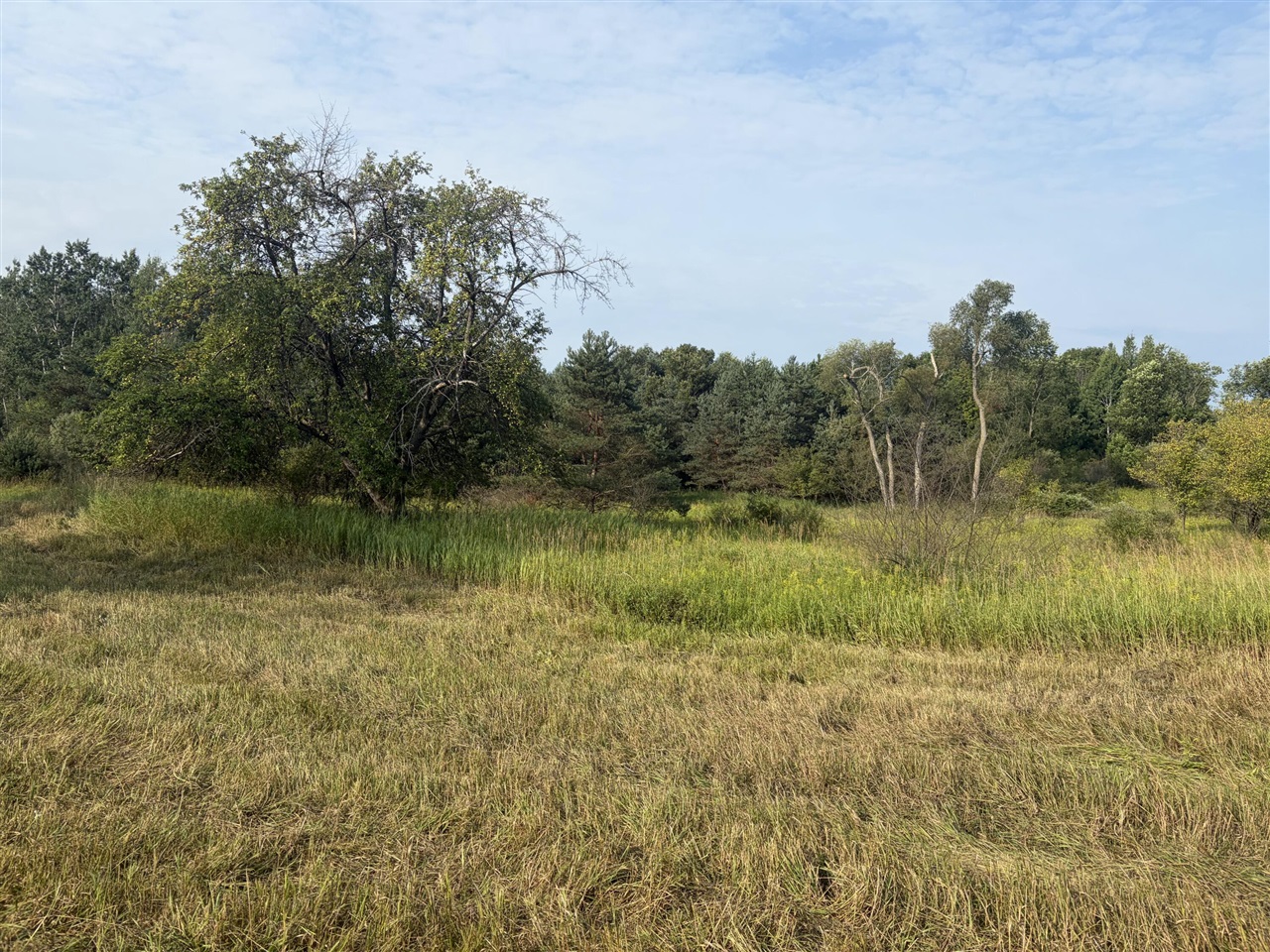 property viewer photo 1
