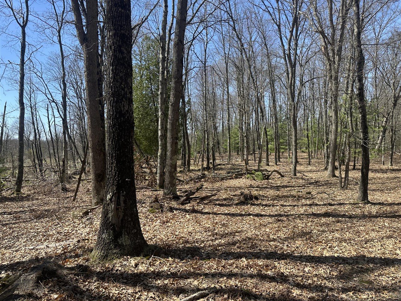 main property photo 96