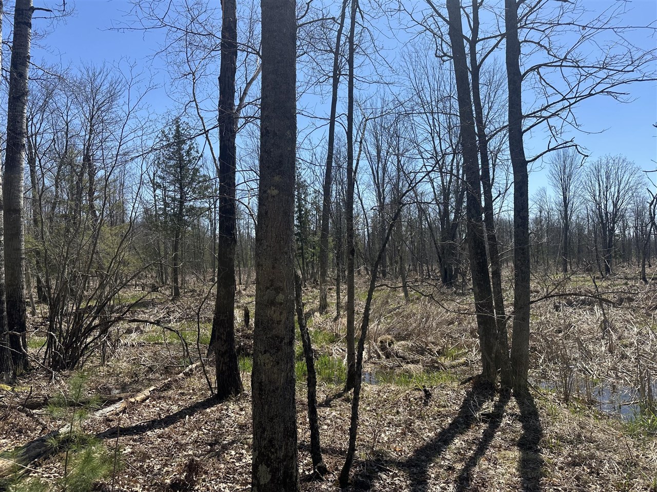 main property photo 97