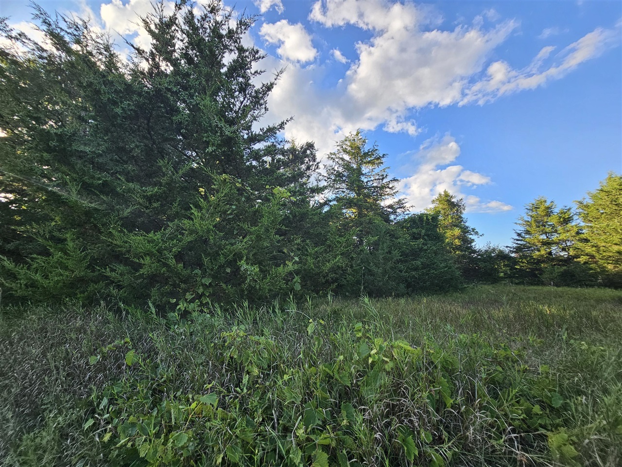 main property photo 20