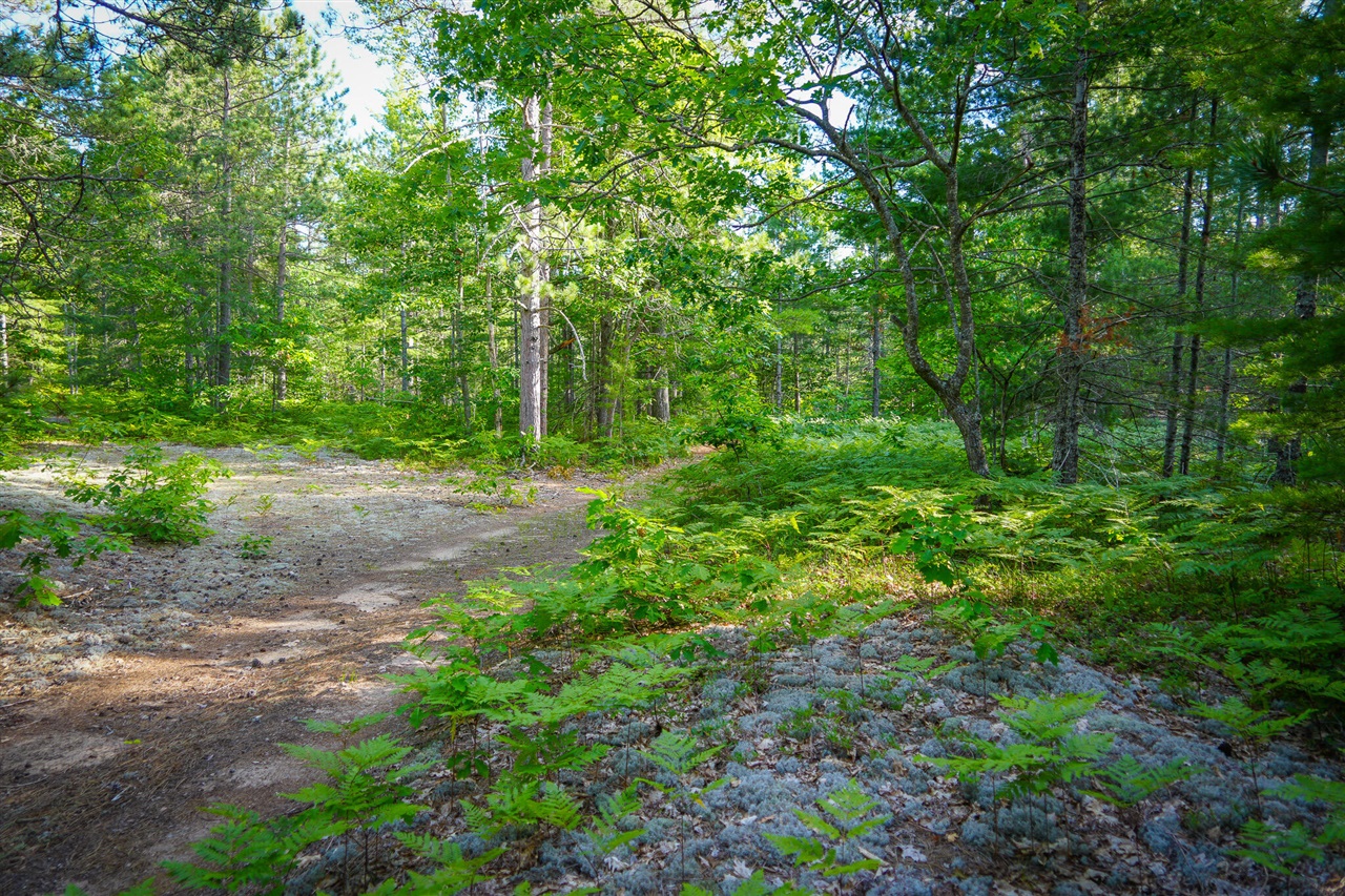 main property photo 56