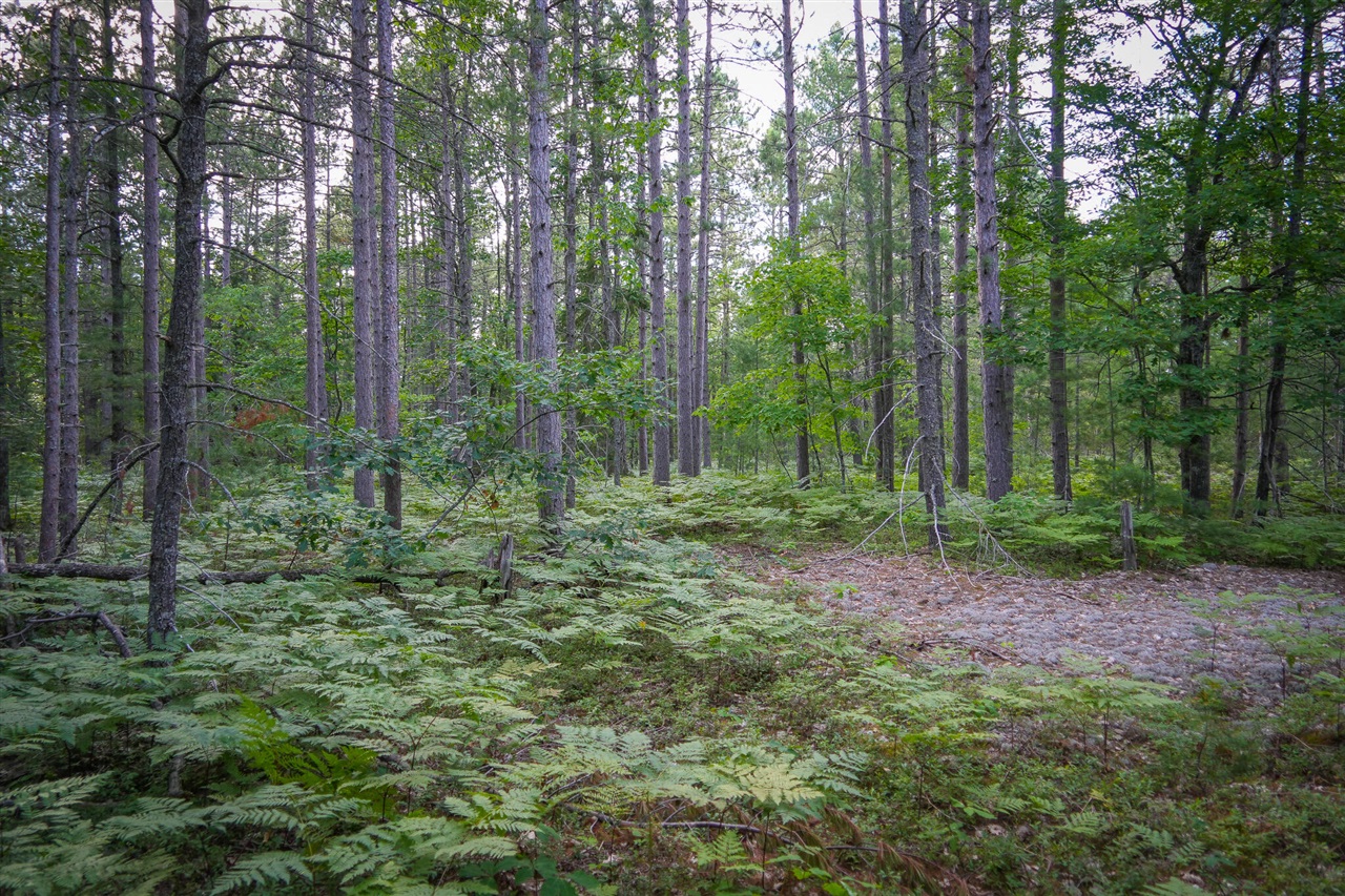 main property photo 57