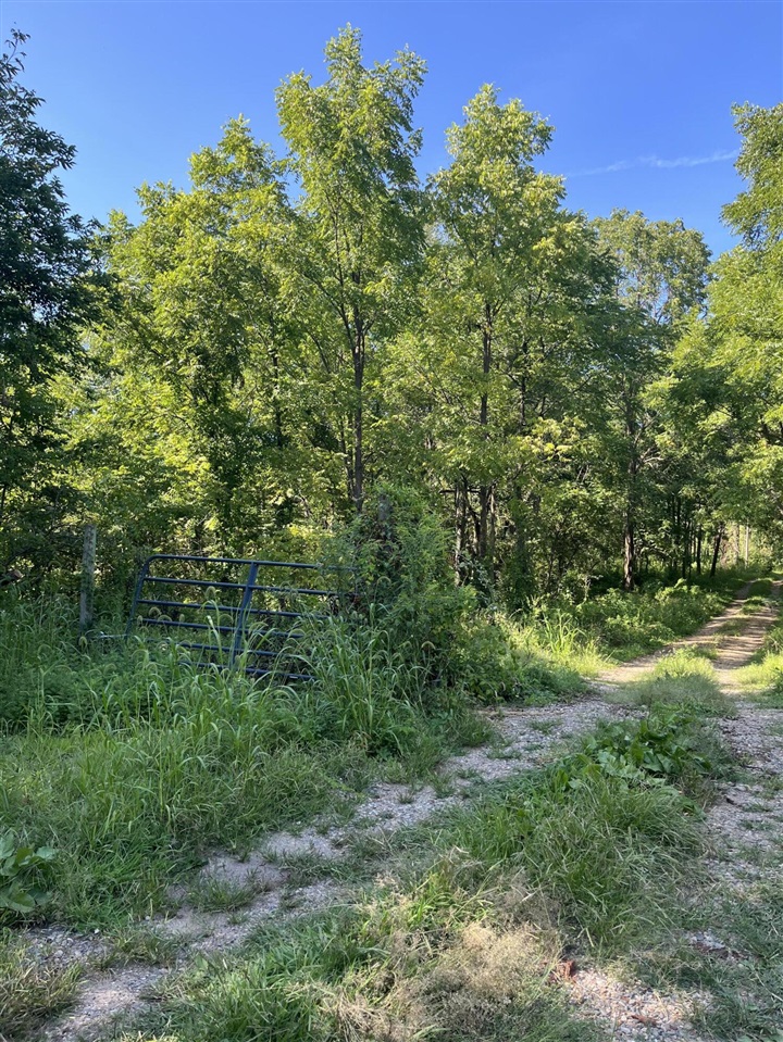 main property photo 6