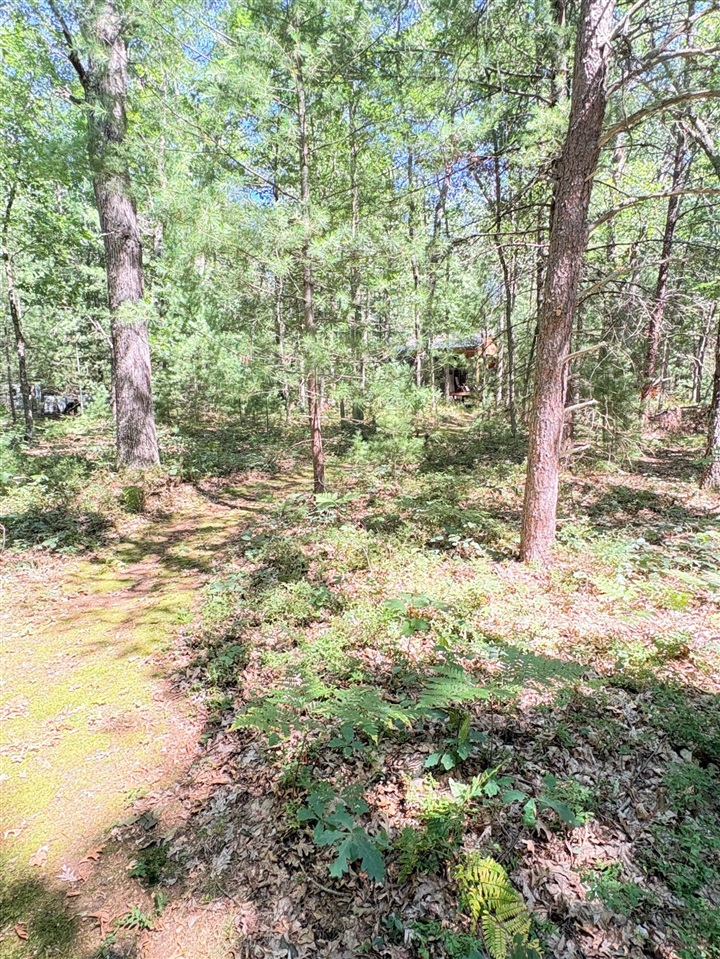 main property photo 48