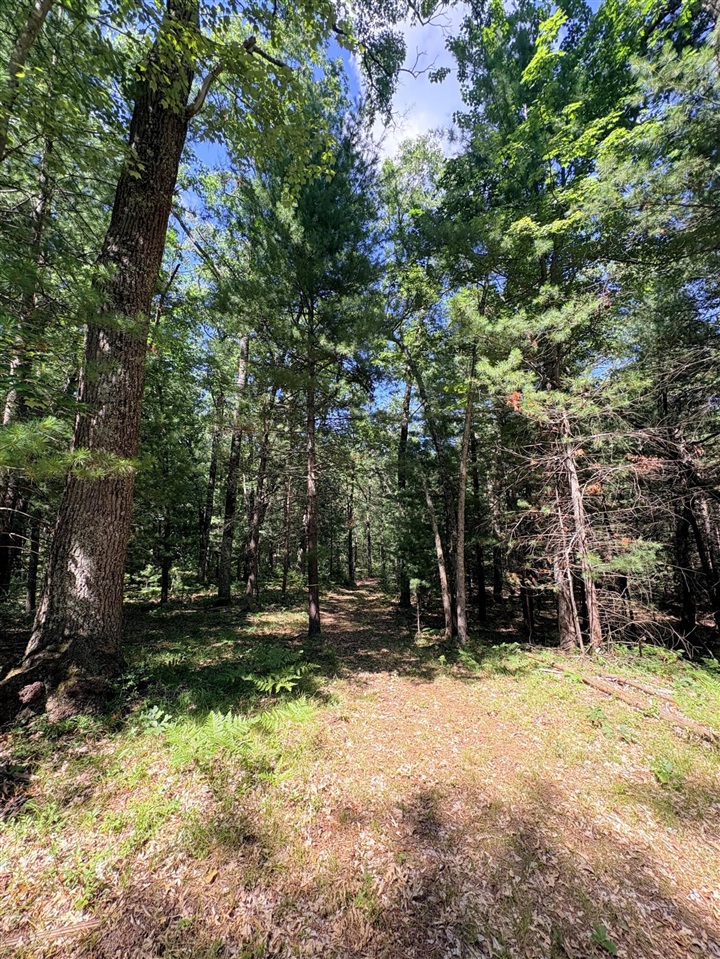 main property photo 65
