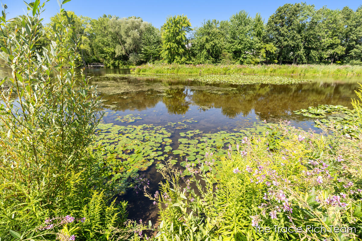 main property photo 64
