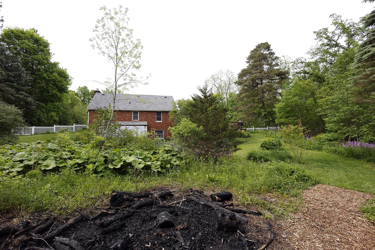 main property photo 42