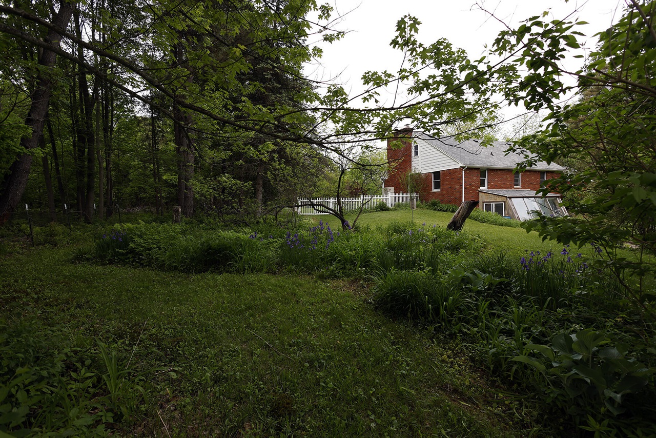 main property photo 47