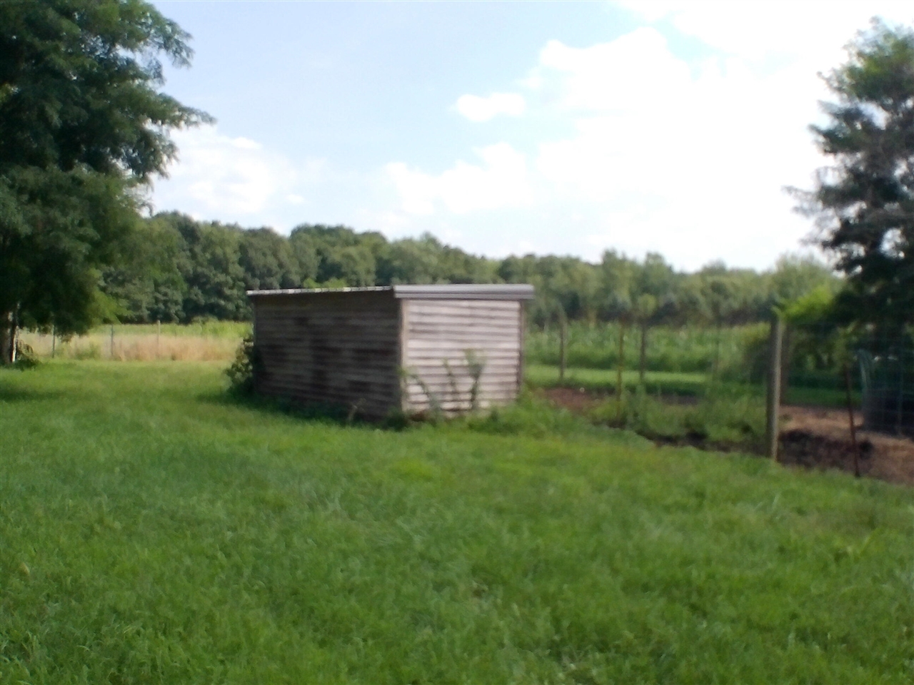 main property photo 4