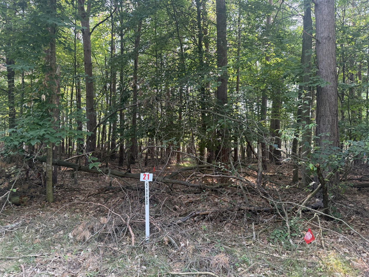 main property photo 0