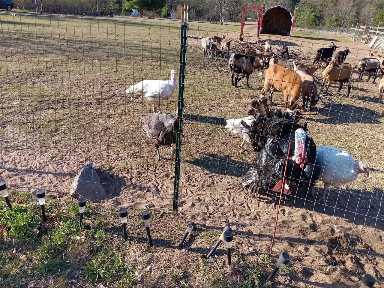 main property photo 28