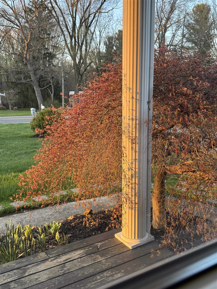 main property photo 97