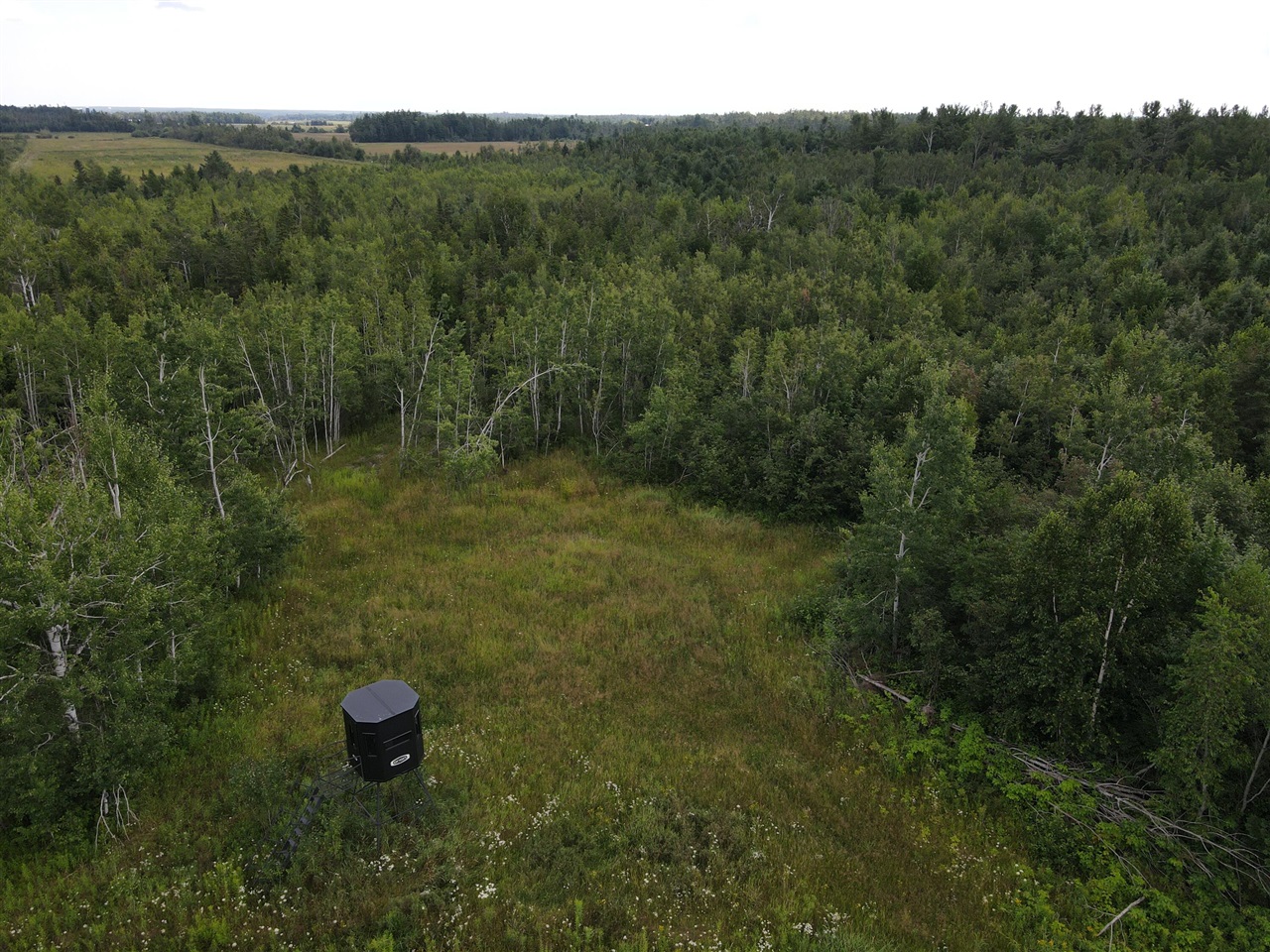 main property photo 45